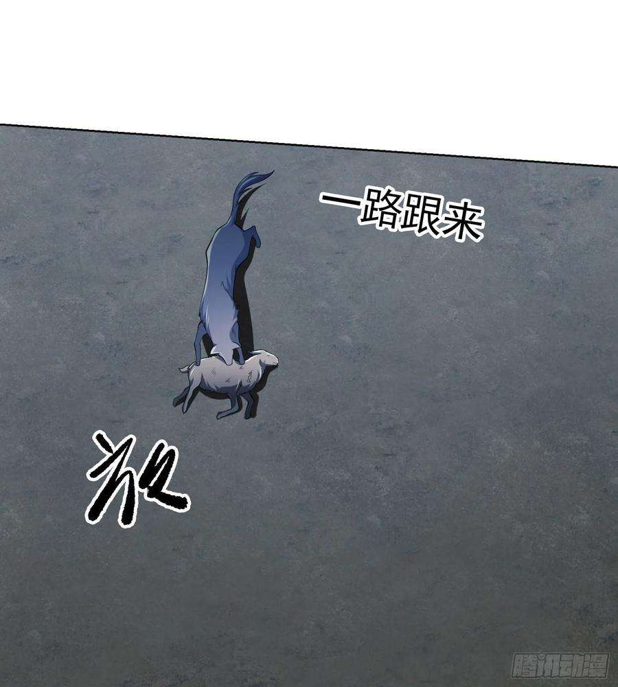 第一序列99 昆山狼王