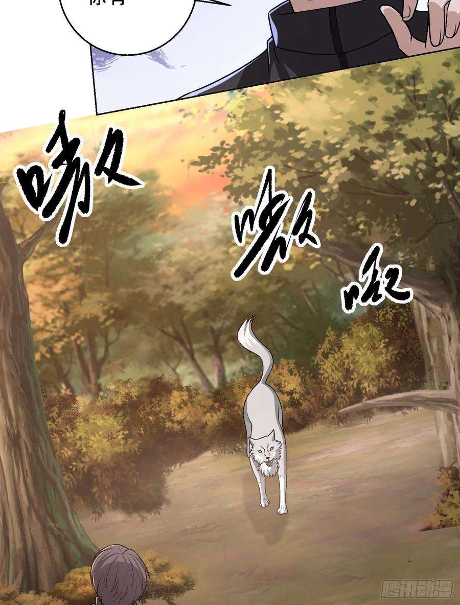 第一序列108 狼群成精了