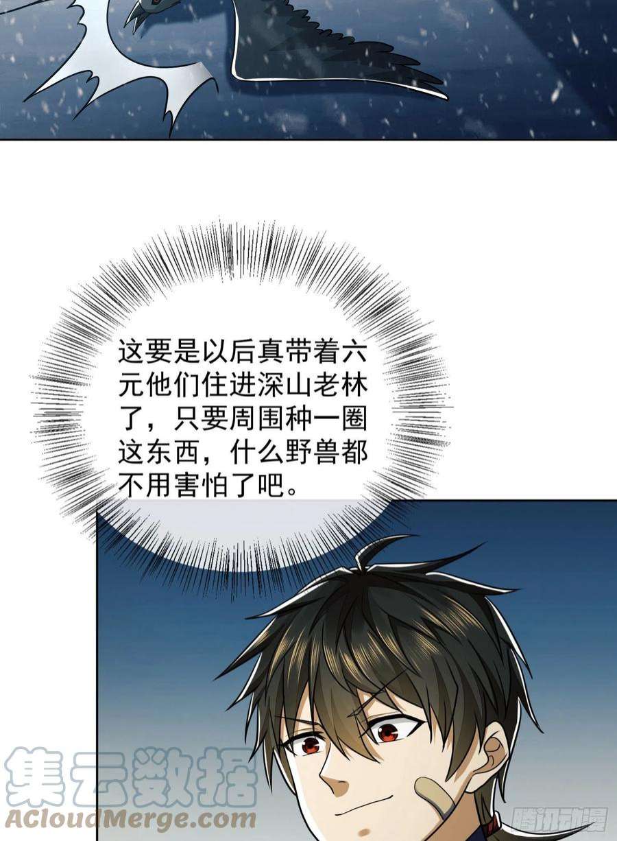 第一序列119 疯狂的植物