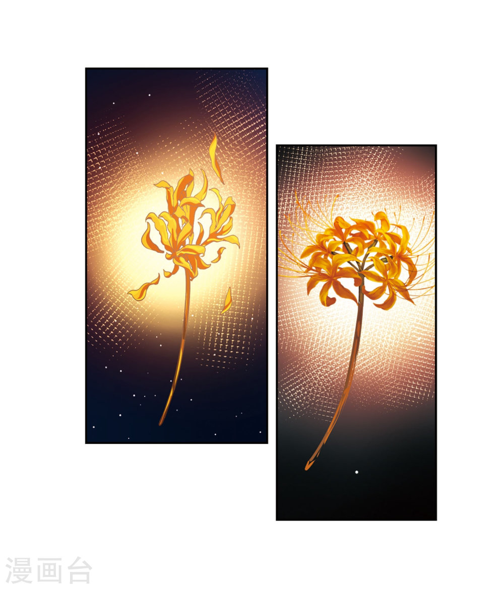 寻找前世之旅第408话 橘色曼珠沙华2