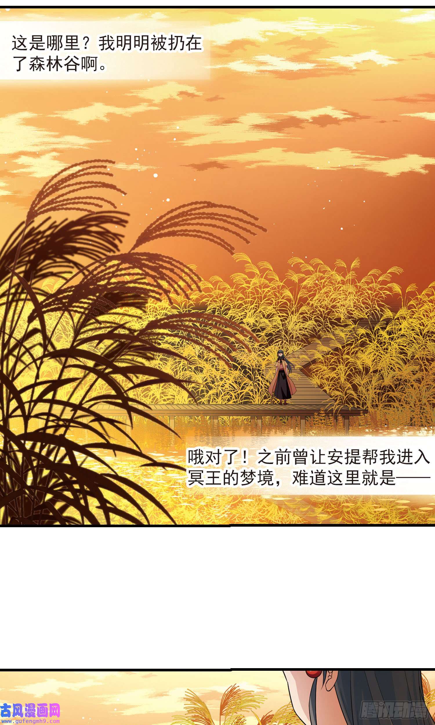 寻找前世之旅第416话