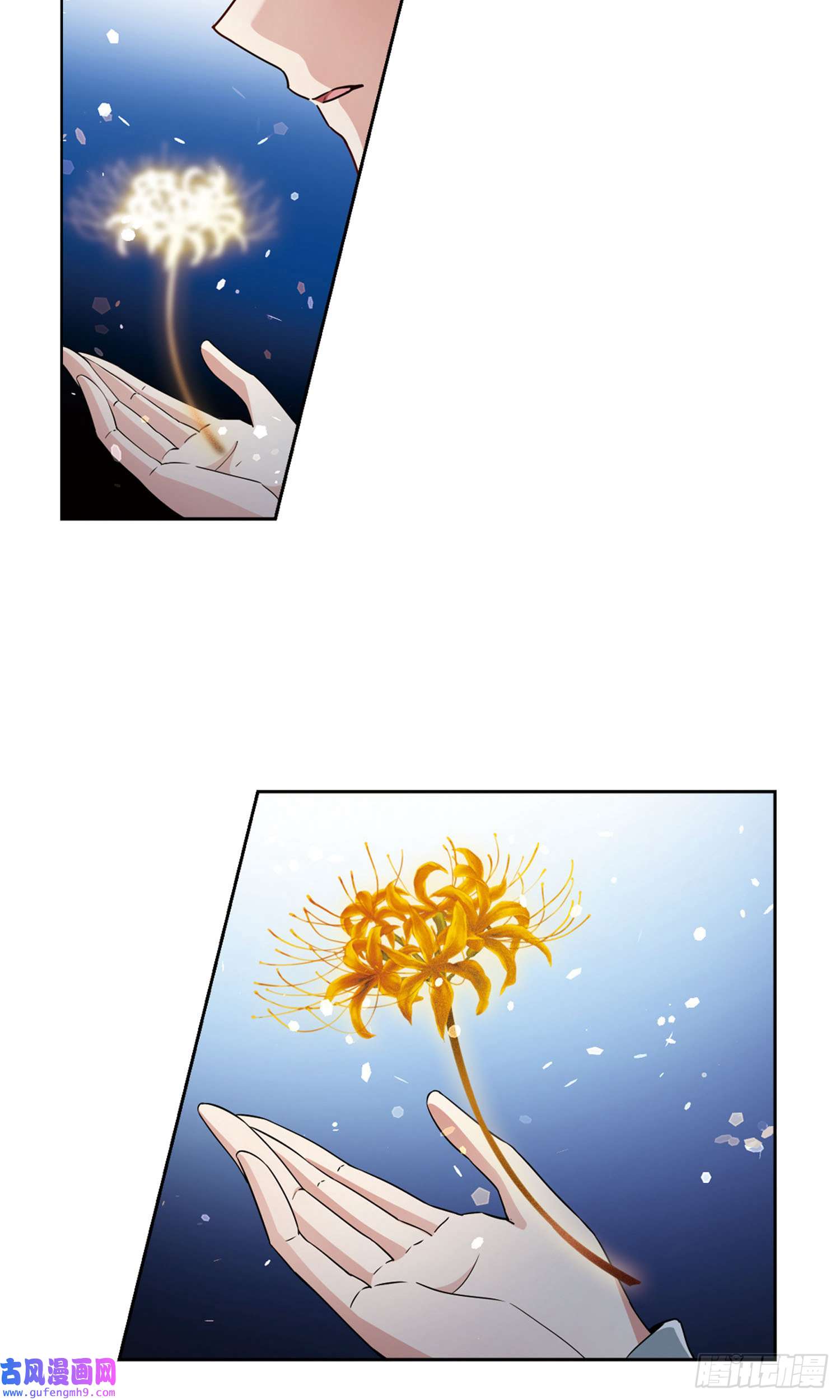 寻找前世之旅第426话