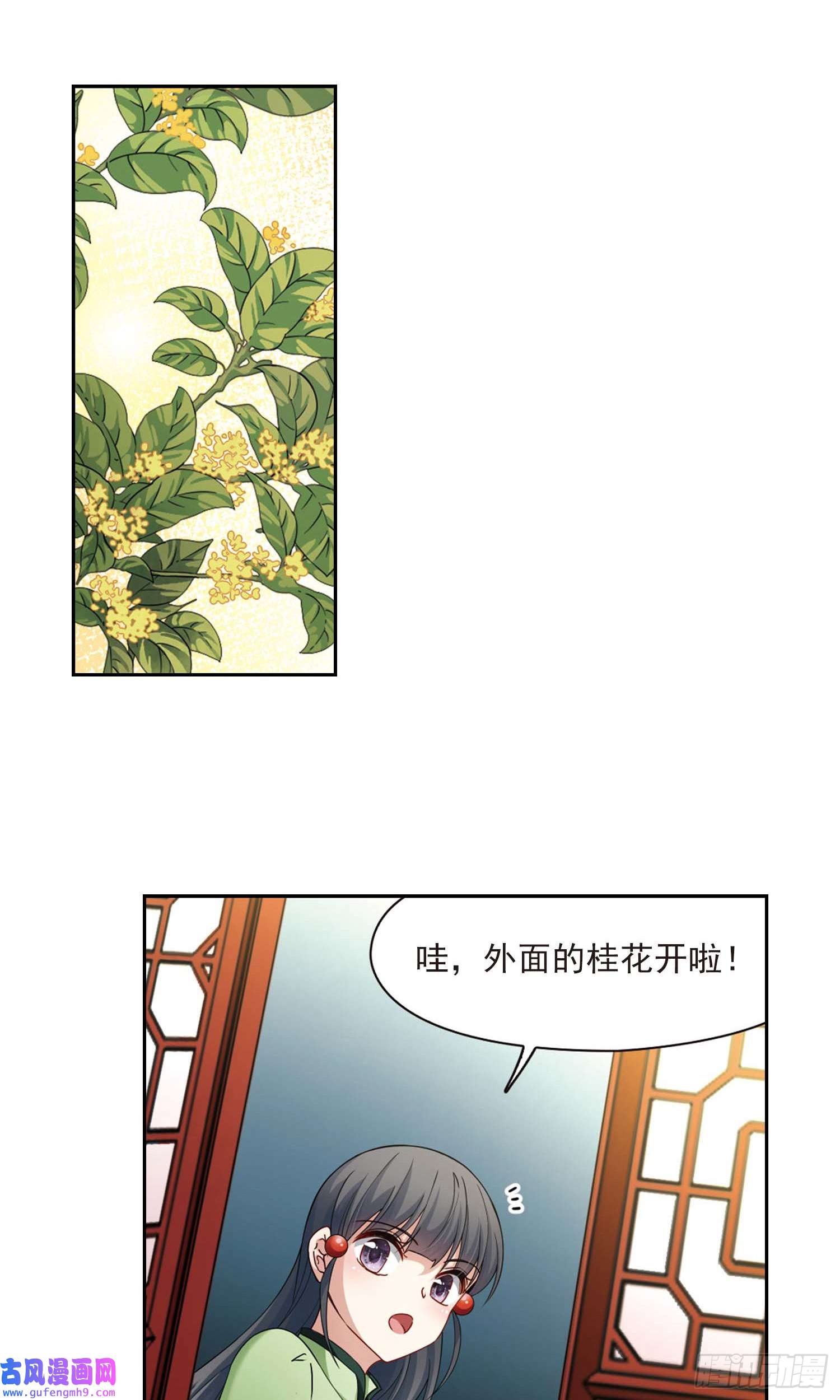 寻找前世之旅第437话