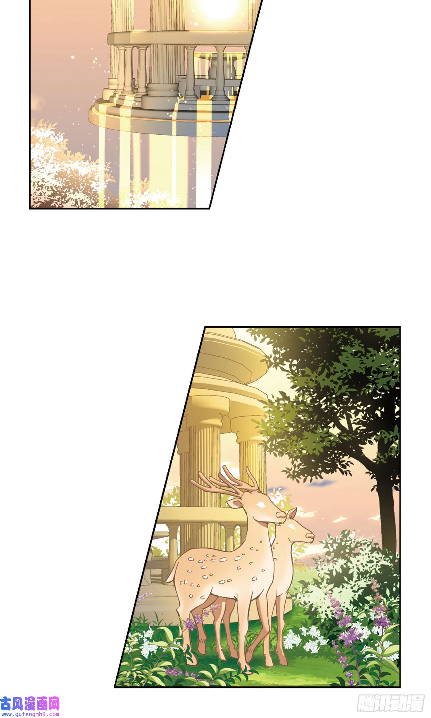 寻找前世之旅第448话