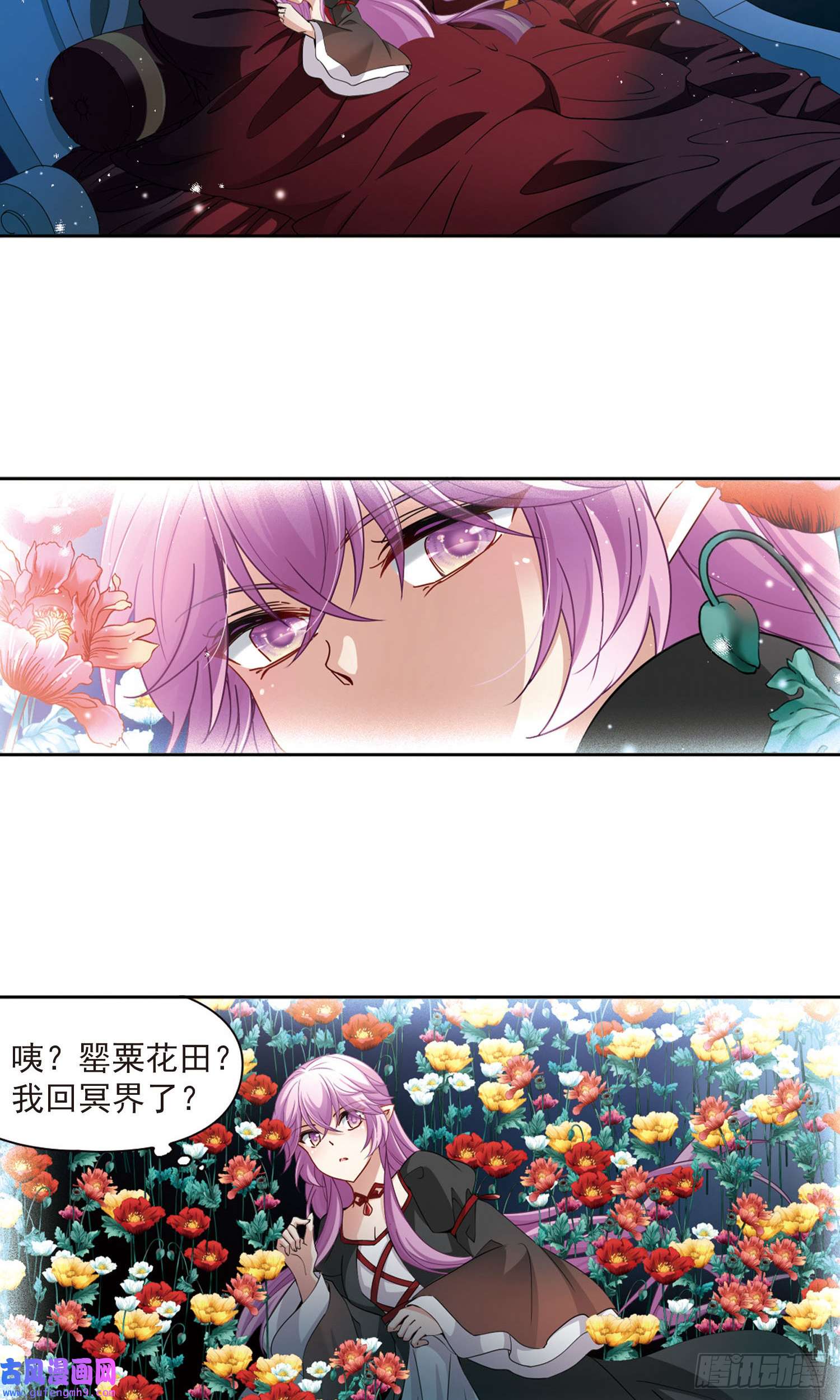 寻找前世之旅第464话