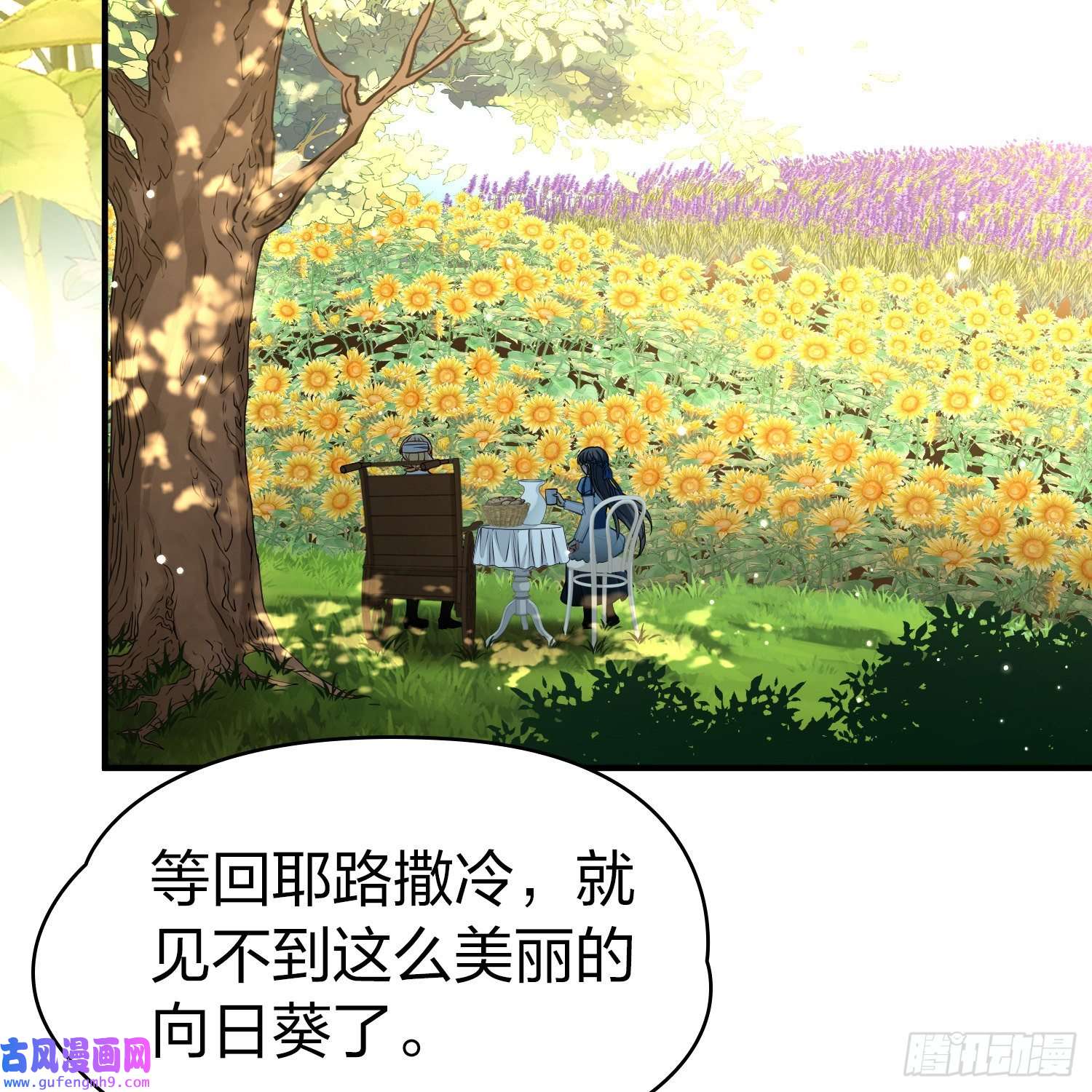 寻找前世之旅第2季第115话