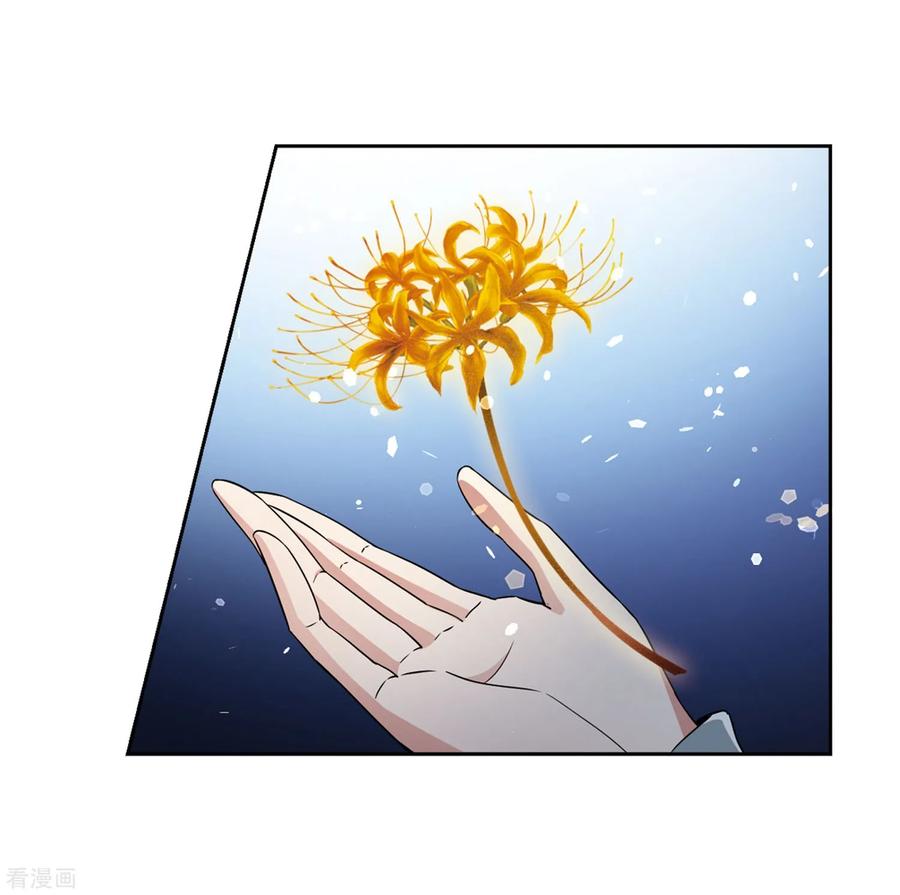寻找前世之旅427话 纪念