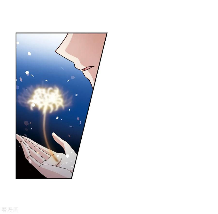 寻找前世之旅427话 纪念