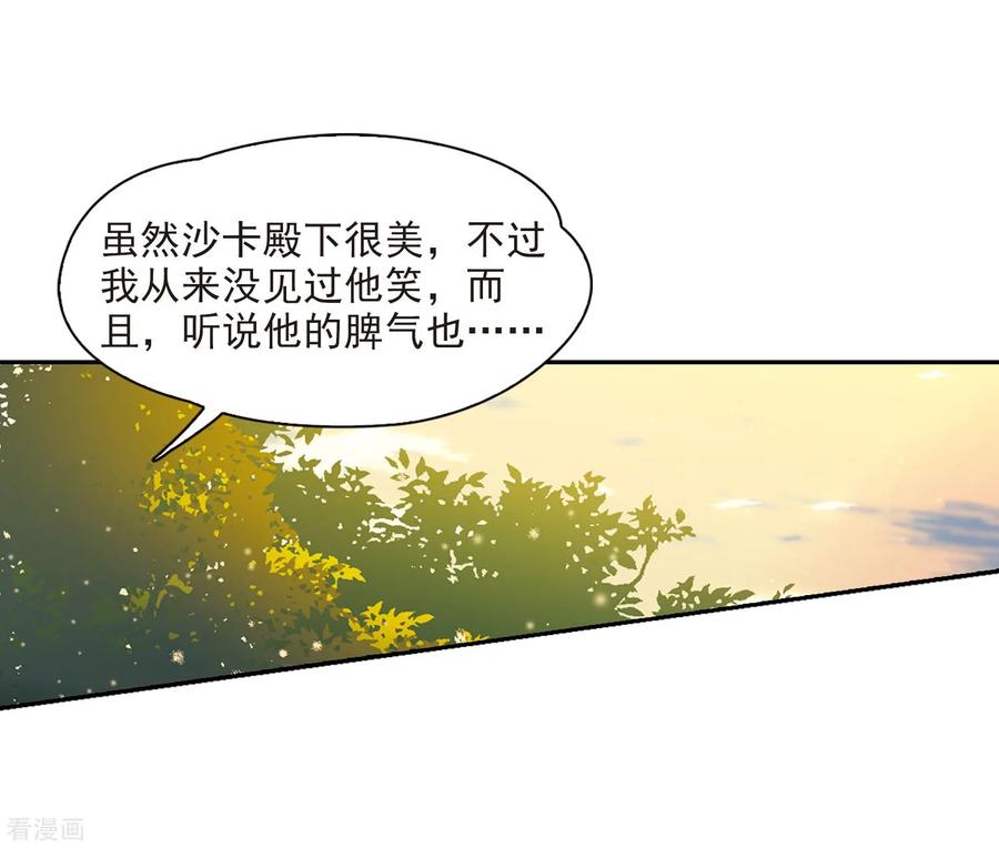 寻找前世之旅暑期加更通知