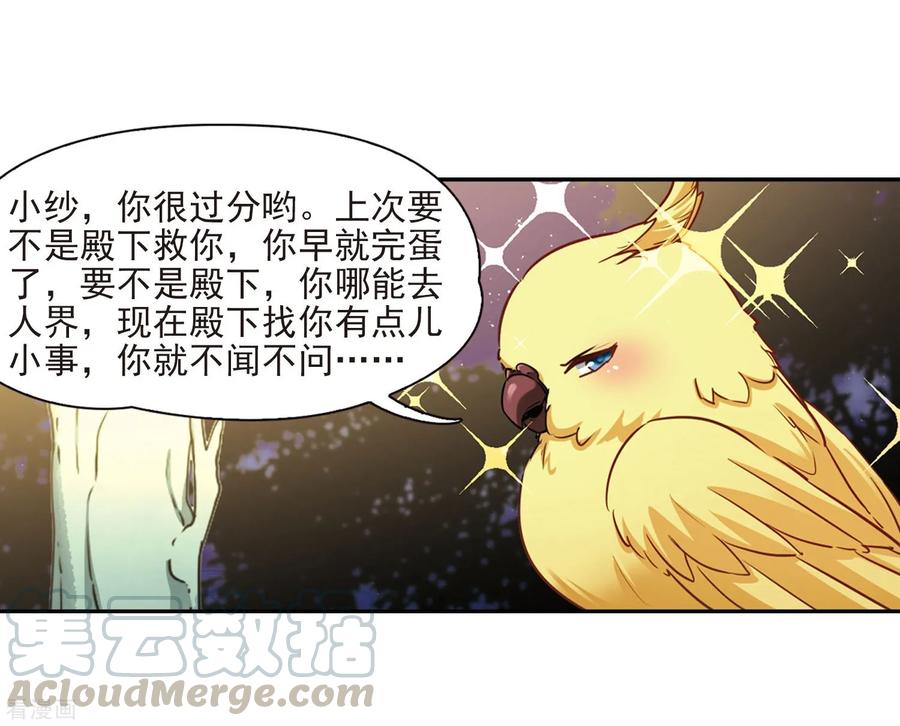 寻找前世之旅暑期加更通知