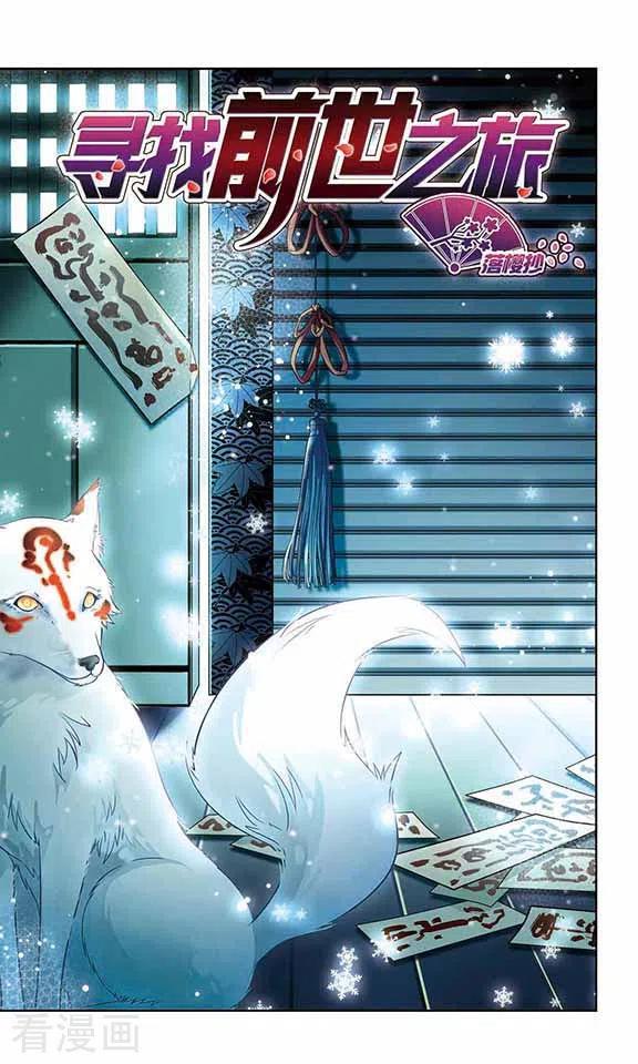 寻找前世之旅2季第1话 夜晚出现的男子1