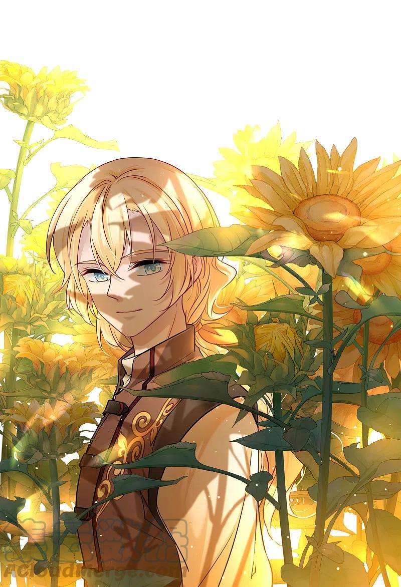 寻找前世之旅2季第92话 佛兰德尔的弟弟4