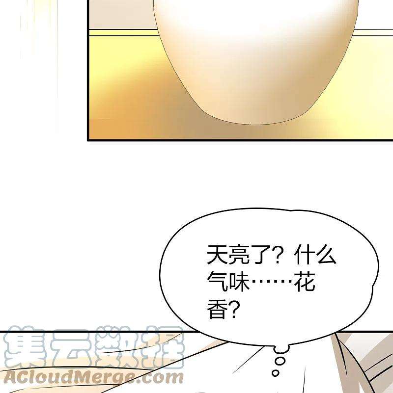 寻找前世之旅2季第92话 佛兰德尔的弟弟4