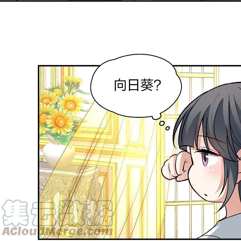 寻找前世之旅2季第92话 佛兰德尔的弟弟4