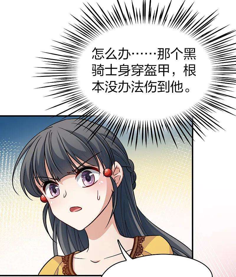 寻找前世之旅2季第102话 黑骑士的城堡3