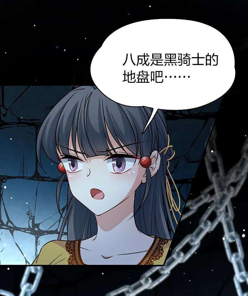 寻找前世之旅2季第104话 黑骑士的城堡5