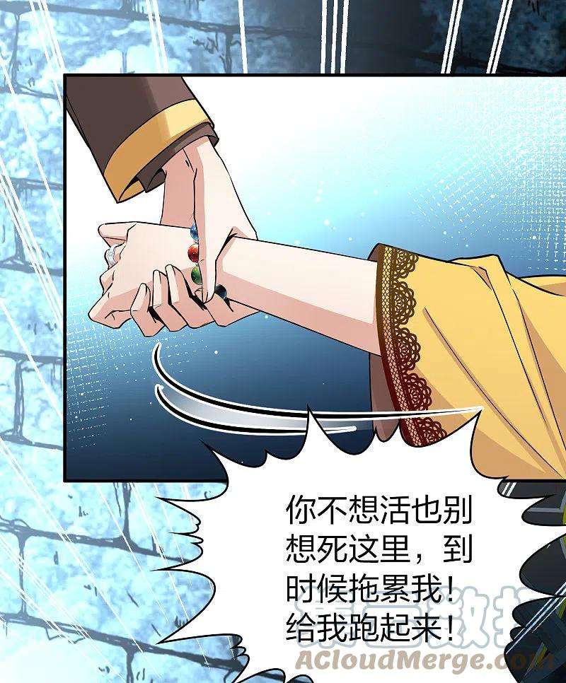 寻找前世之旅2季第107话 我的骑士1