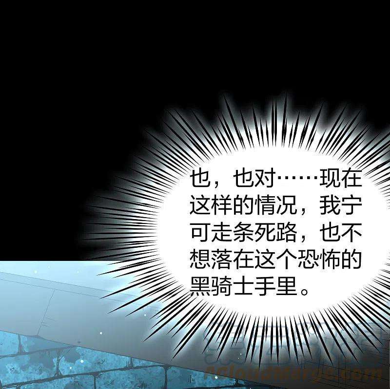 寻找前世之旅2季第107话 我的骑士1