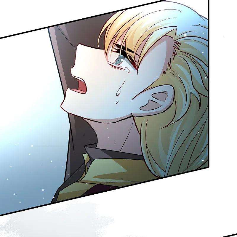 寻找前世之旅2季第110话 我的骑士4