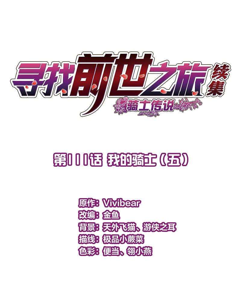 寻找前世之旅2季第111话 我的骑士5