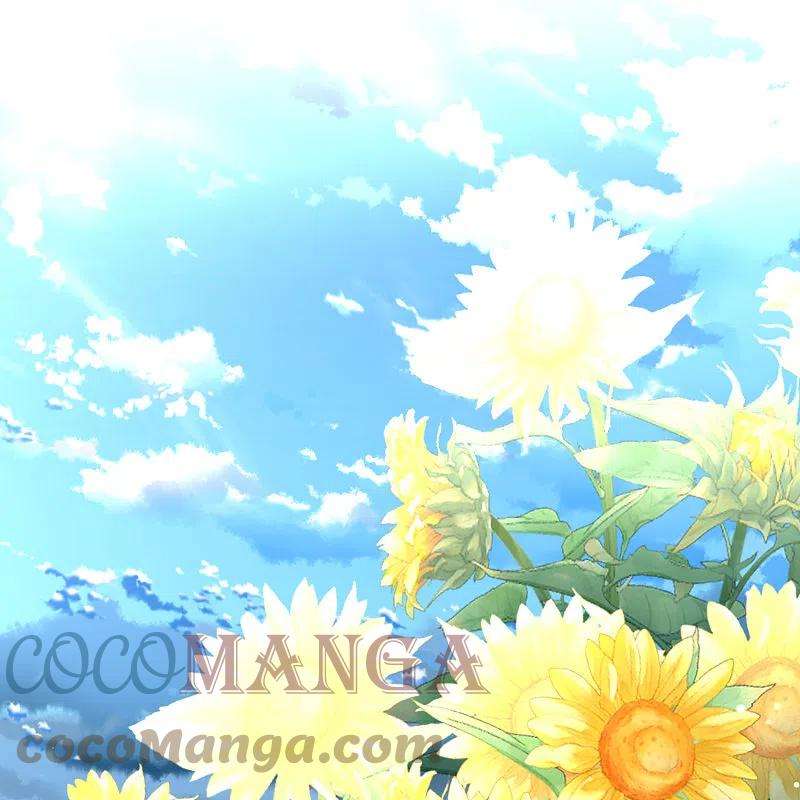 寻找前世之旅2季第114话 养伤2