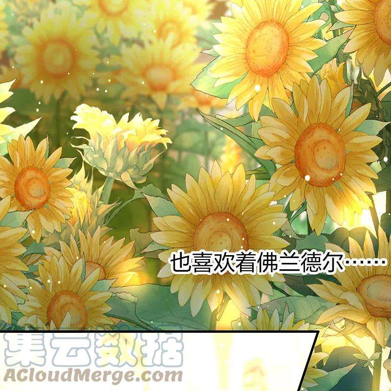 寻找前世之旅2季第127话 被封印的记忆7