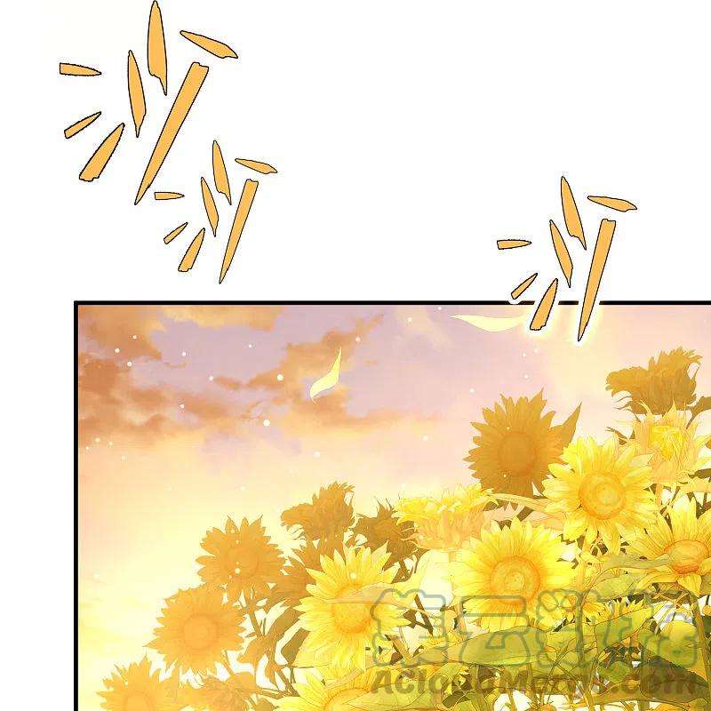 寻找前世之旅2季第129话 向日葵花语1