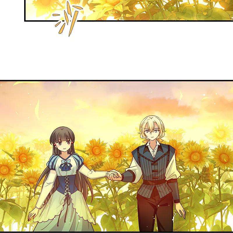 寻找前世之旅2季第129话 向日葵花语1