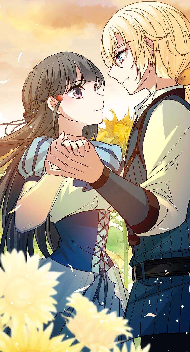 寻找前世之旅2季第129话 向日葵花语1