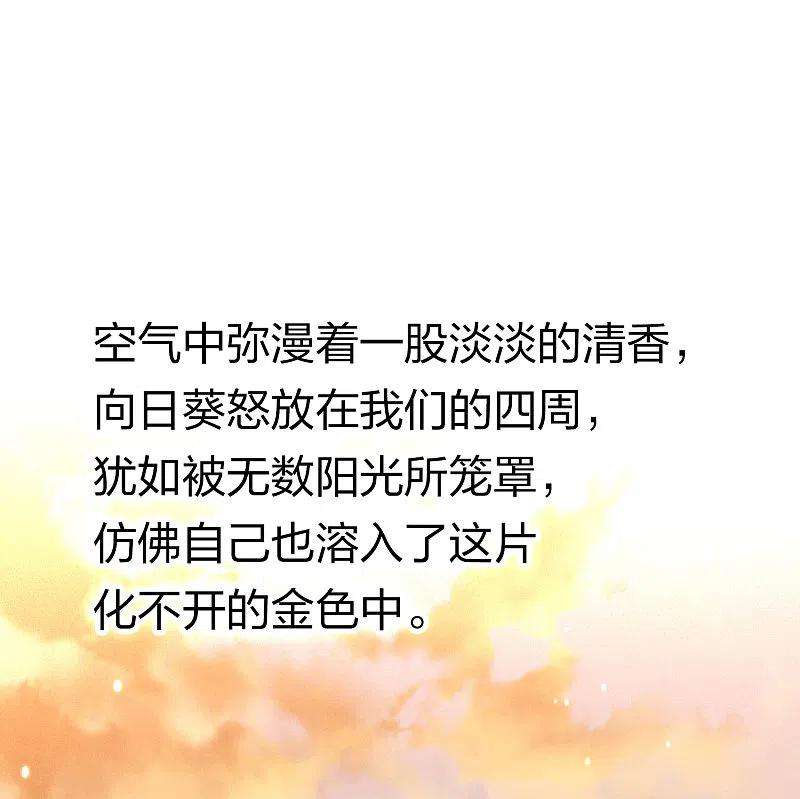 寻找前世之旅2季第129话 向日葵花语1