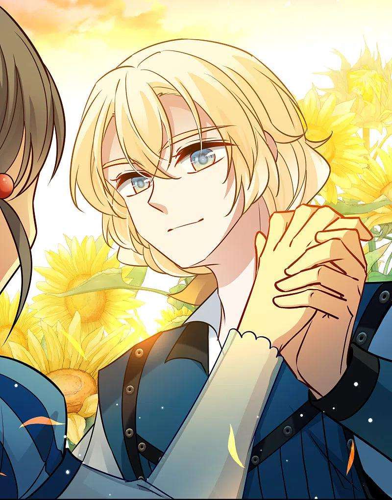 寻找前世之旅2季第129话 向日葵花语1