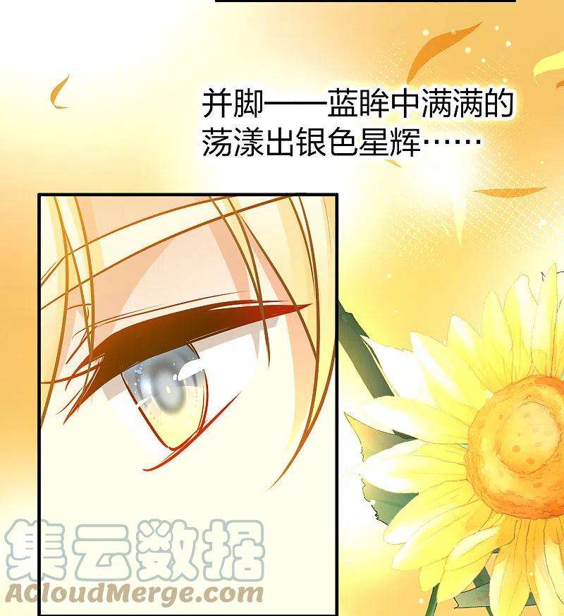 寻找前世之旅2季第129话 向日葵花语1