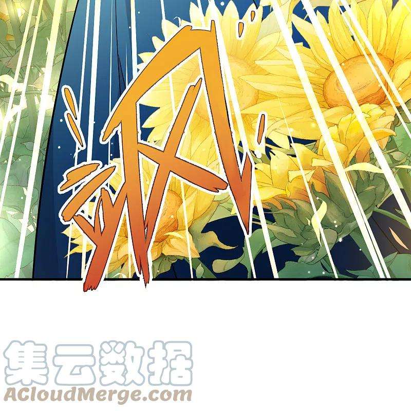 寻找前世之旅2季第130话 向日葵花语2
