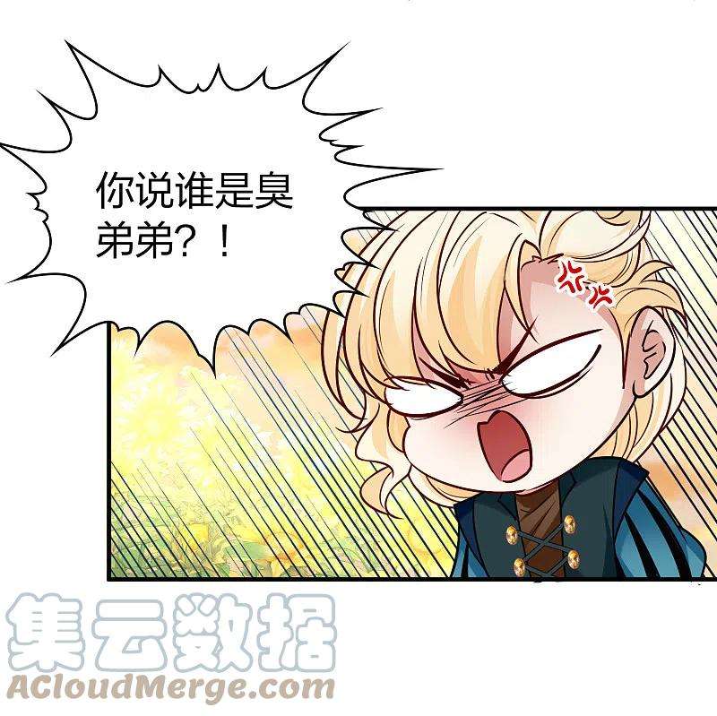 寻找前世之旅2季第130话 向日葵花语2