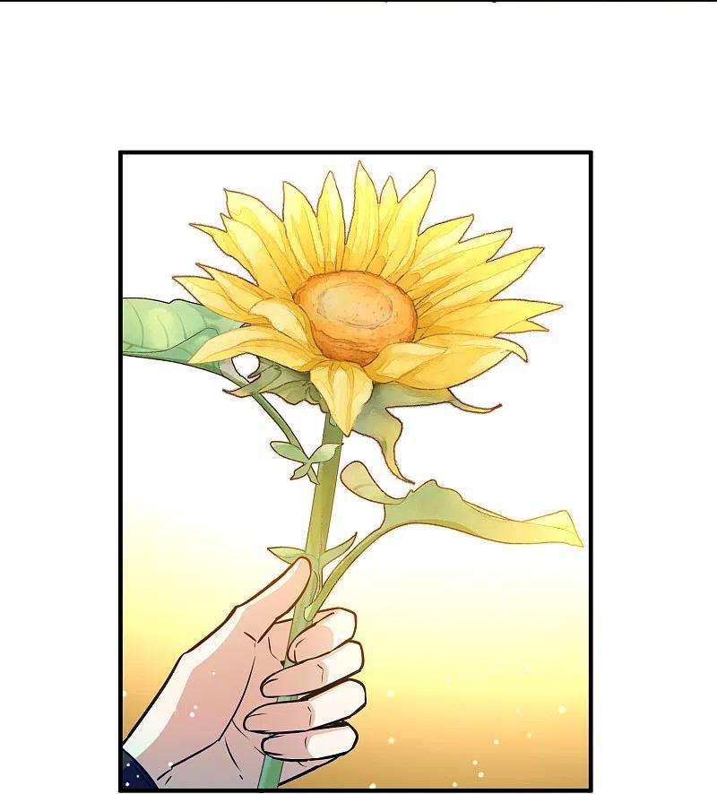 寻找前世之旅2季第130话 向日葵花语2