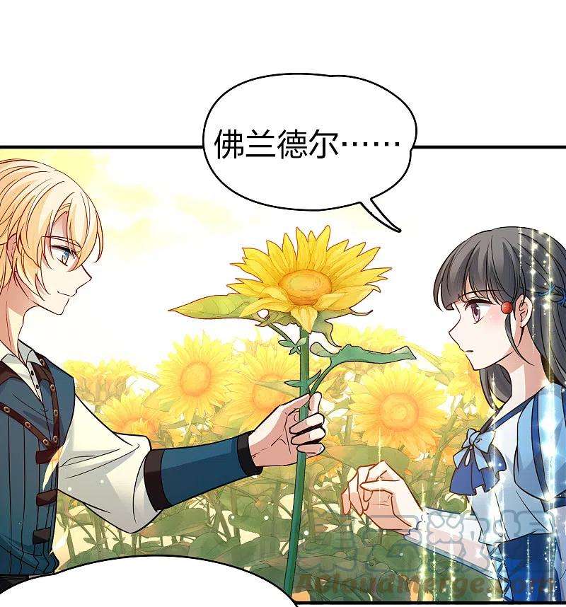 寻找前世之旅2季第130话 向日葵花语2