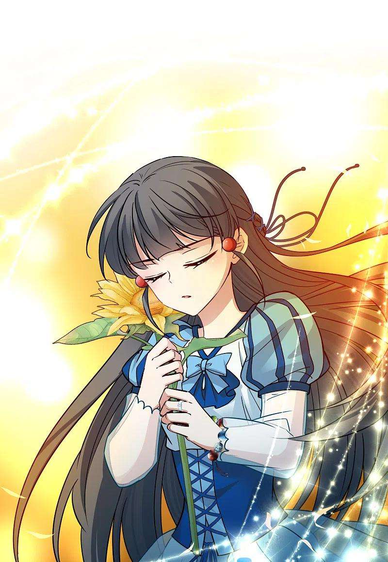 寻找前世之旅2季第130话 向日葵花语2