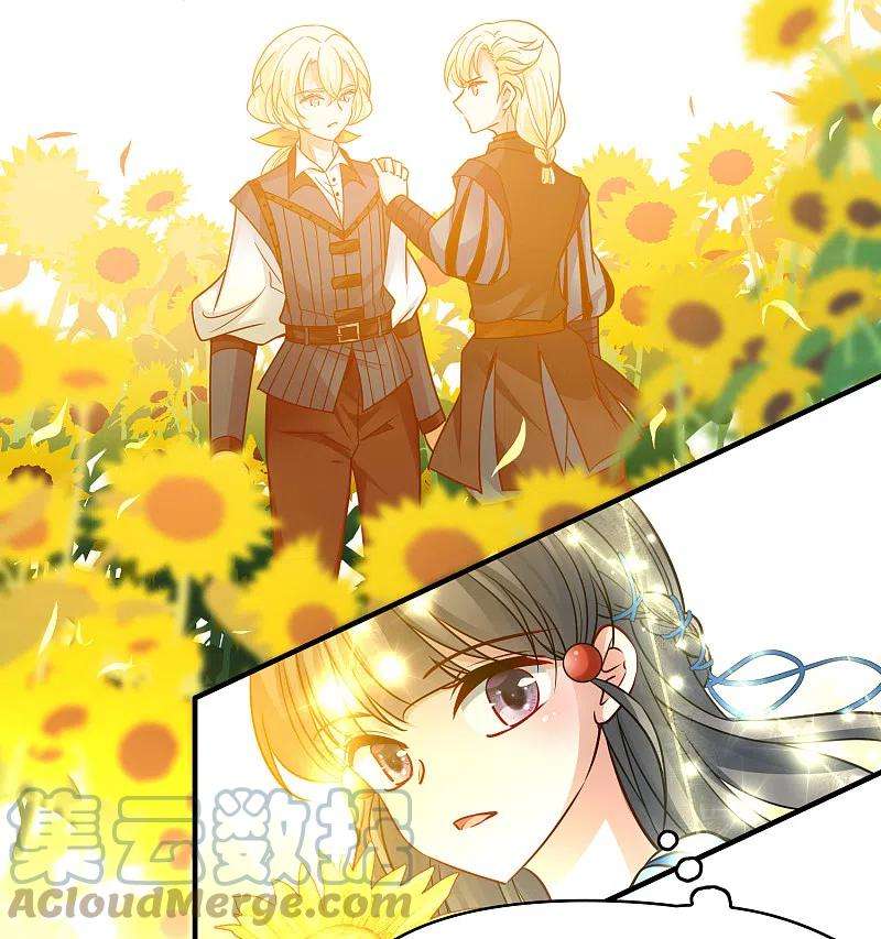 寻找前世之旅2季第130话 向日葵花语2