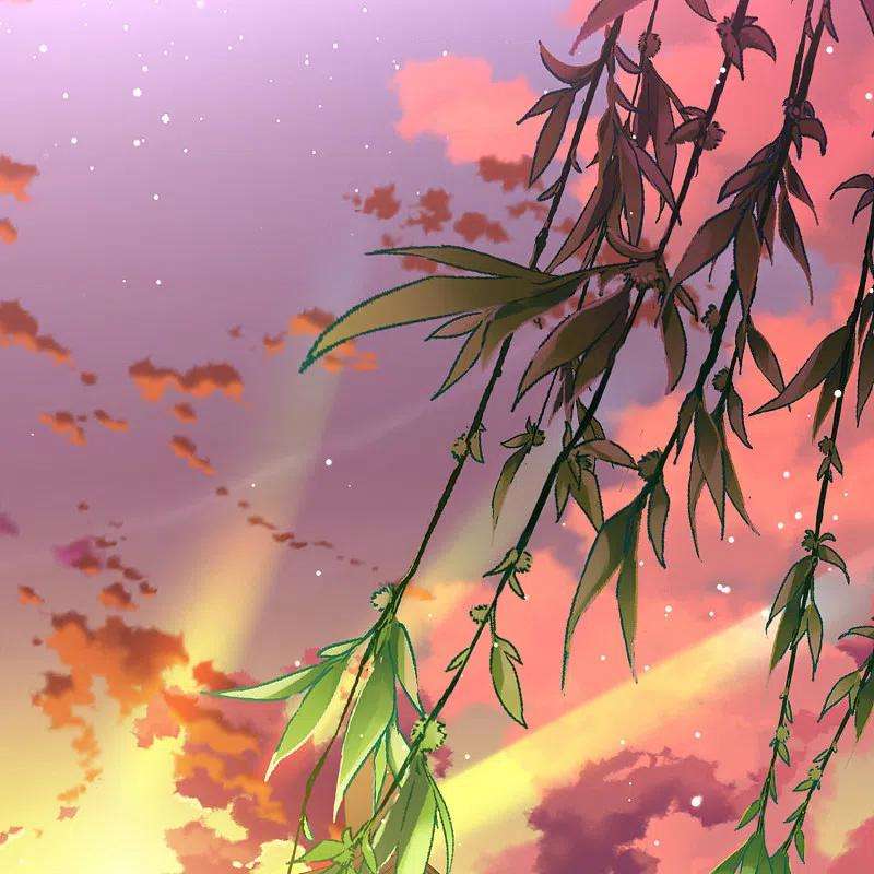 寻找前世之旅2季第130话 向日葵花语2