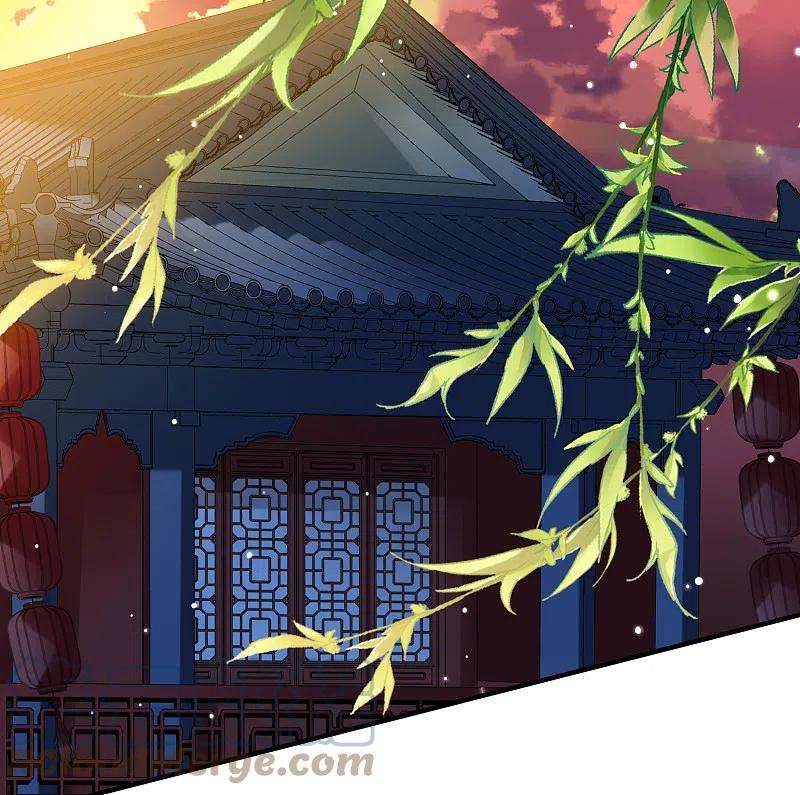 寻找前世之旅2季第130话 向日葵花语2