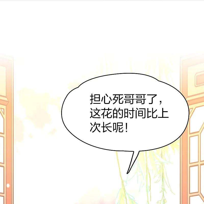 寻找前世之旅2季第130话 向日葵花语2