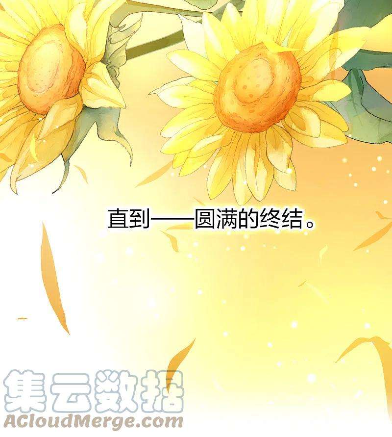 寻找前世之旅2季第130话 向日葵花语2