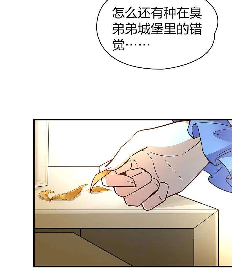 寻找前世之旅2季第133话 向日葵花语5