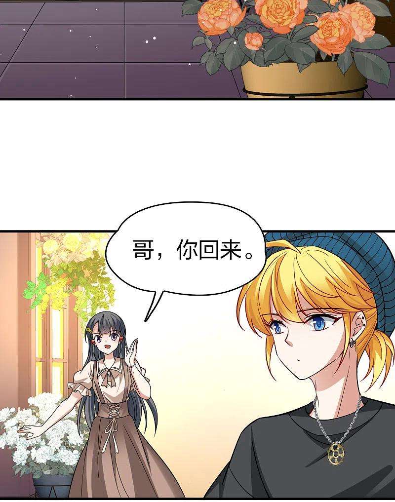 寻找前世之旅2季第133话 向日葵花语5