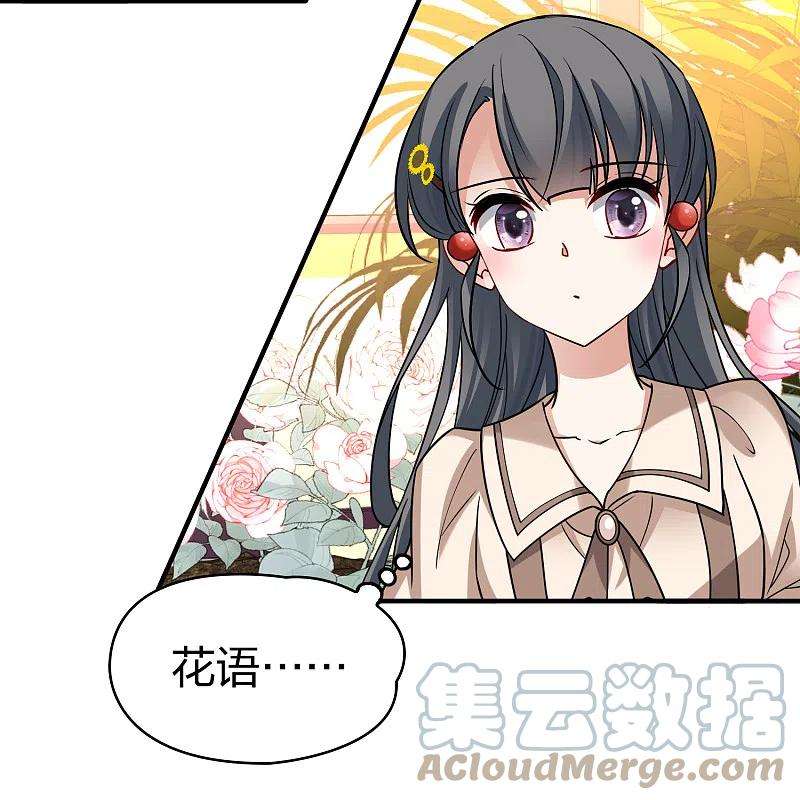 寻找前世之旅2季第133话 向日葵花语5