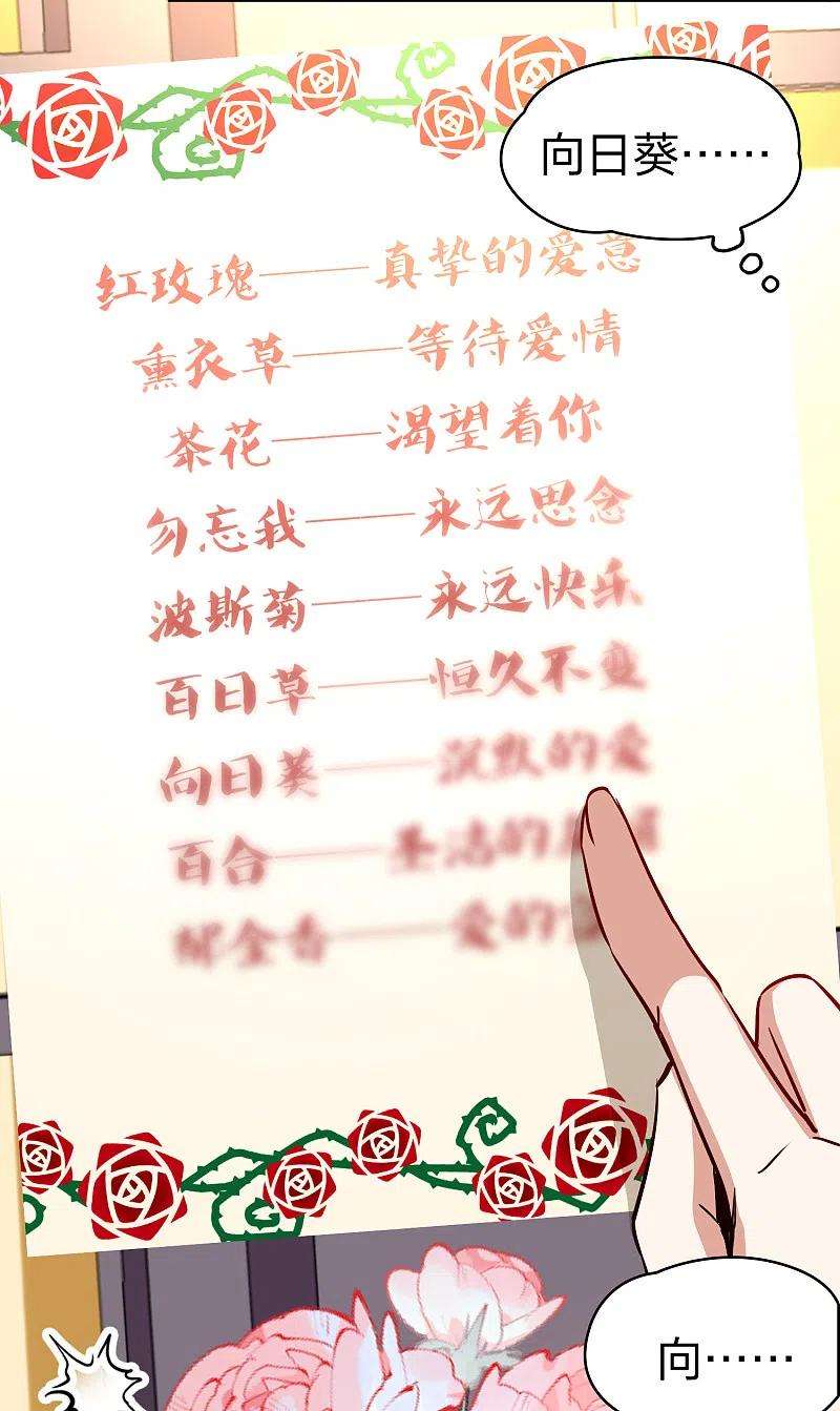 寻找前世之旅2季第133话 向日葵花语5