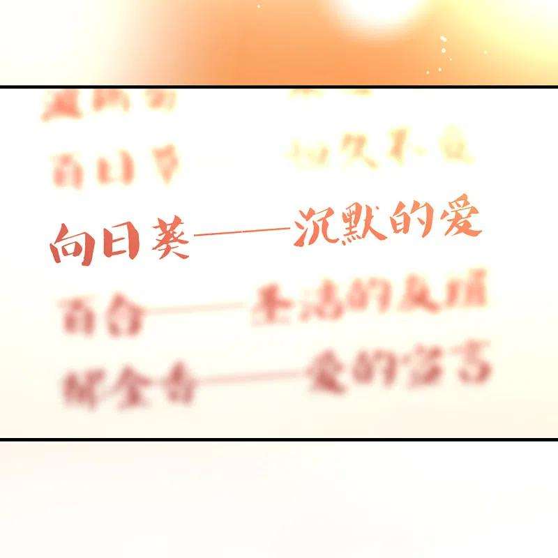 寻找前世之旅2季第133话 向日葵花语5