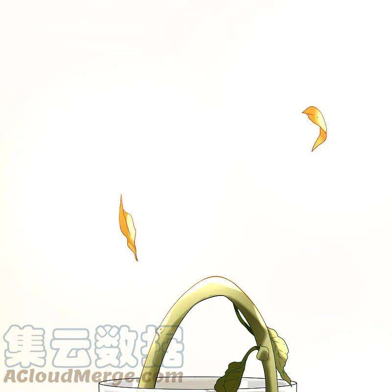 寻找前世之旅2季第133话 向日葵花语5