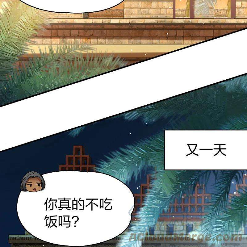 寻找前世之旅2季第148话 绝食1