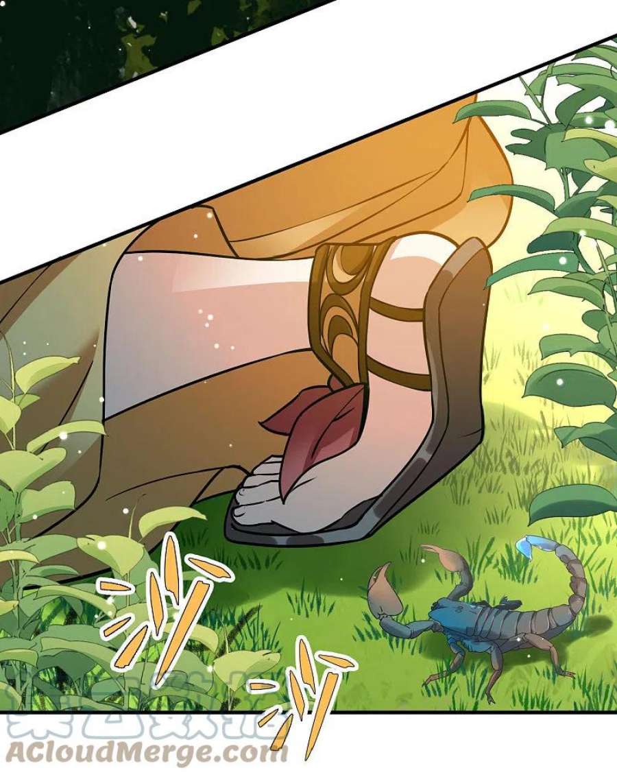 寻找前世之旅2季第157话 抓蝎子2